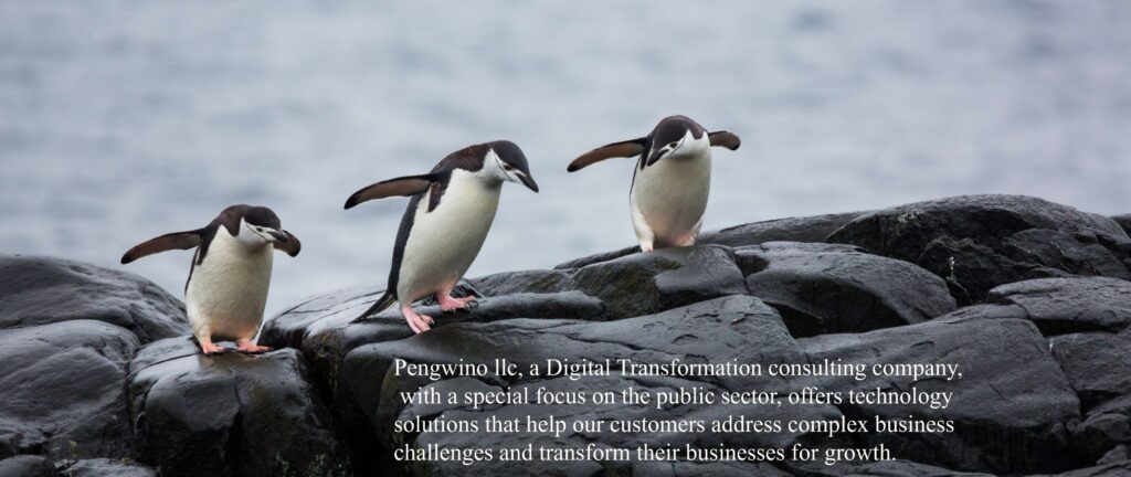 panoramic-view-three-penguins-stones-antarctica (1)_compressed (1)_page-0001